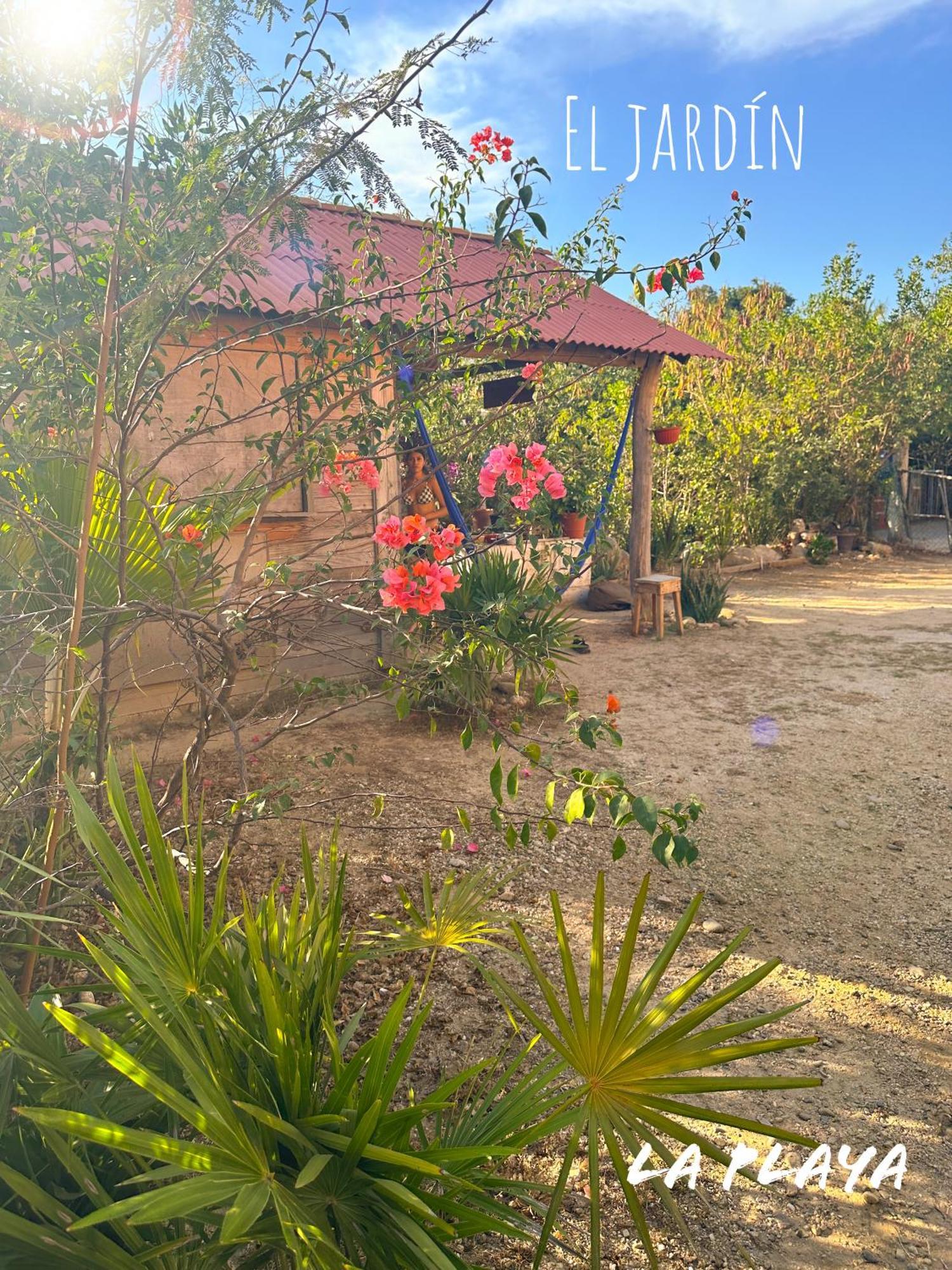 Hotel La Playa Mazunte Bagian luar foto