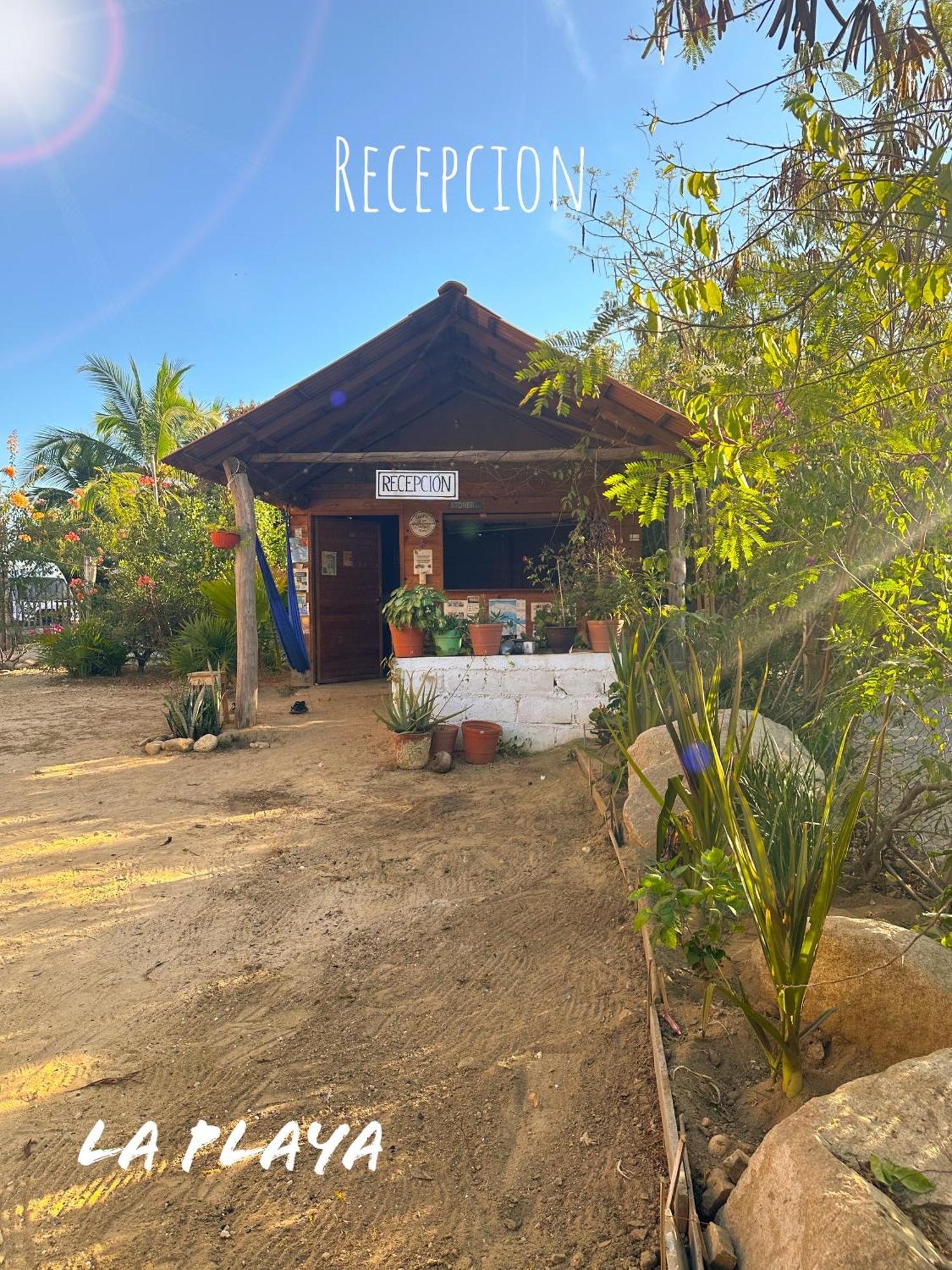 Hotel La Playa Mazunte Bagian luar foto