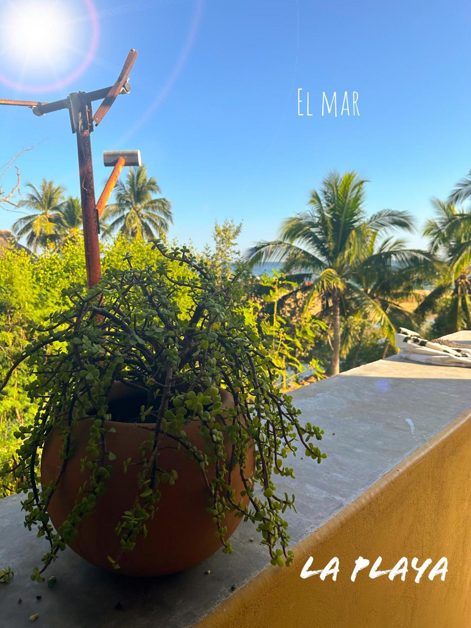 Hotel La Playa Mazunte Bagian luar foto
