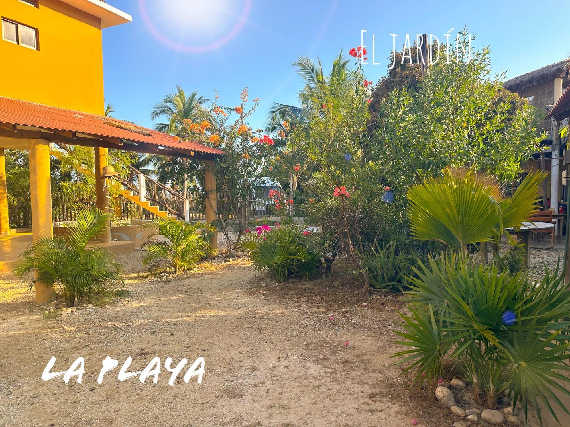 Hotel La Playa Mazunte Bagian luar foto